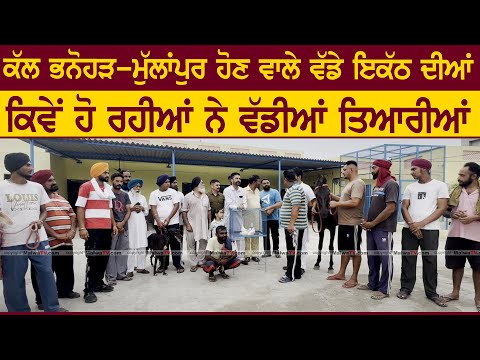 ਕੱਲ ਹੋਣ ਵਾਲੇ "ਵੱਡੇ ਇਕੱਠ" ਦੀਆਂ ਕਿਵੇਂ ਚੱਲ ਰਹੀਆਂ ਵੱਡੇ ਪੱਧਰ ਤੇ ਤਿਆਰੀਆਂ ਦੇਖੋ ਤਸਵੀਰਾਂ | ਭਨੋਹੜ 29 ਜੂਨ 2025