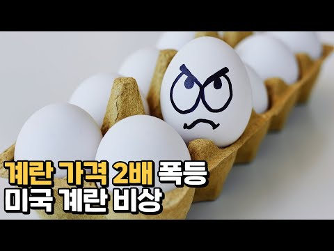 계란 사재기에 나선 미국인들