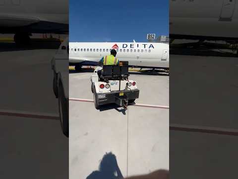 Los Trabajadores de Aeropuerto son Salvajes