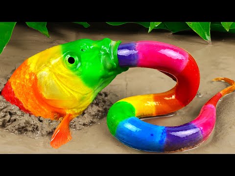 스톱모션 ASMR Colorful Koi Fish Carp & Crocodile, Koi Fish, Catfish, Sea Crab - Animation 다채로운 잉어 연못