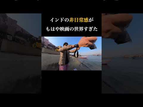 行ってみたくなった？#ヒュウミヤタ #hughmiyata #おすすめ #shorts