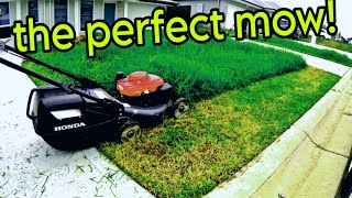 Aussie YouTuber found ALIVE & WELL MOWING LAWNS!