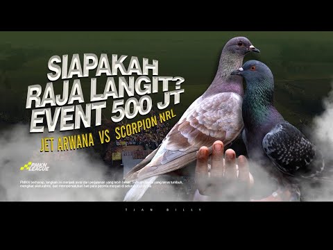FINAL !! KEJUARAAN MERPATI BERHADIAH TOTAL 500 JUTA LAPAK LEGOK CHILIE PEKALONGAN PMKN