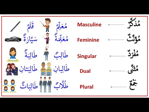 Learn Arabic Grammar Live | الاسم العاقل وغير العاقل | Types on Noun in Arabic