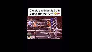 Canelo and Mungia both shove referee out the way