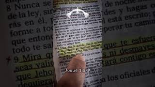 18 de noviembre de 2024
