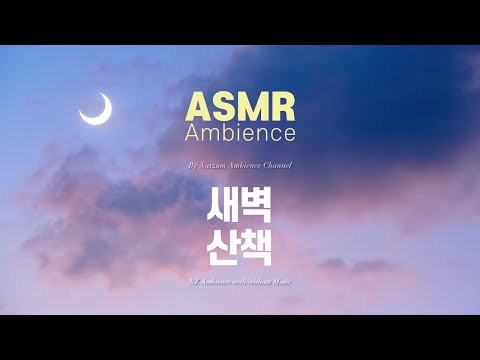 저벅저벅, 토독토독- 새벽의 숲🌙어린이 나비잠님이 신청해 주신 [새벽 산책] ASMR