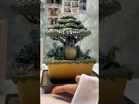 이웃집?ㄴㄴ 우리집 토토로