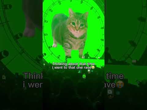 TikTok: ketnkebabs / 😭this would be THE spot of a lifetime