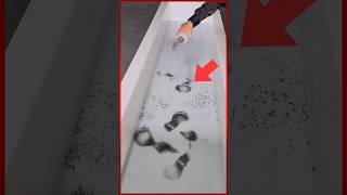 Cleaning Stuff Using Magnets!😎😎 #diy #youtube #youtubeshorts #new