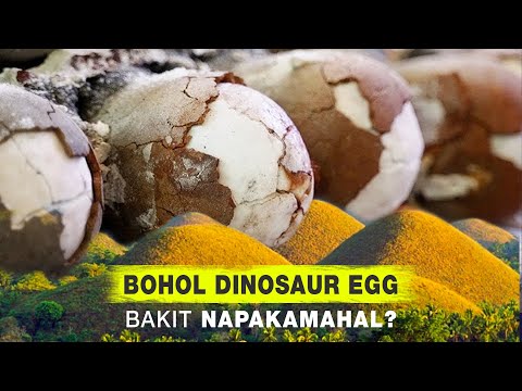 Dinosaur Egg Galing Bohol - Bakit Napakamahal?