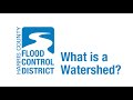 Understanding Watersheds and Drainage Systems