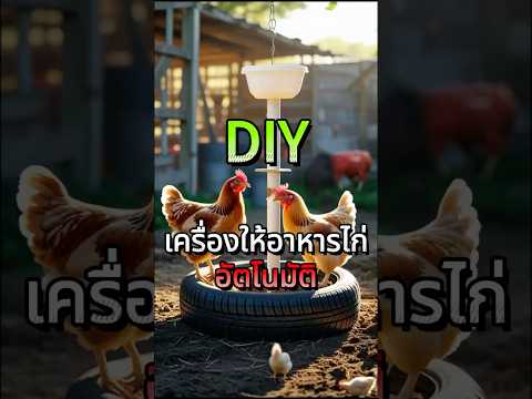 DIYเครื่องให้อาหารไก่สุดเจ๋ง ไก่ยิ้มแก้มปริ! #สัตว์โลกน่ารัก #ภูมิปัญญา #DIY #เลี้ยงไก่ #รีไซเคิล