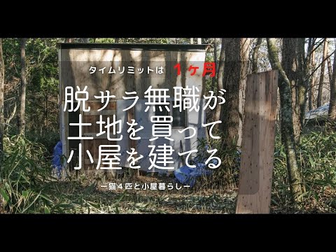 無職になった僕が土地を買って小屋を建て猫４匹と移住するまでの１か月［vol.20］