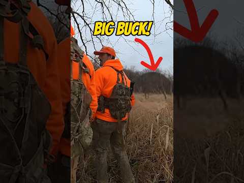 Hunter MISSES Deer at POINT BLANK! 🤦🏻‍♂️ #deerhunter #hunting #thehuntingpublic