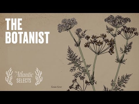 YouTube video thumbnail: The Ingenious Botanist in the Mountains of Tajikistan