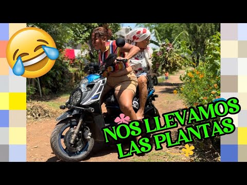 Mi mamá se lleva todas las plantas 😂🏡