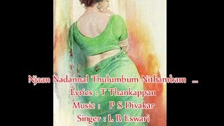 Njaan Nadannal Thulumbum Nithambam - Adharangal Vithumbunnu