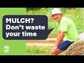 Benefits of Living Plants in Soil