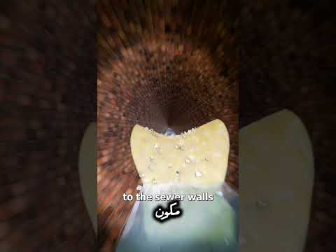 إذا سكبت الشحم في الحوض، يمكن أن يختلط مع نفايات أخرى مثل المناديل المبللة والحفاضات، مما يؤدي إلى