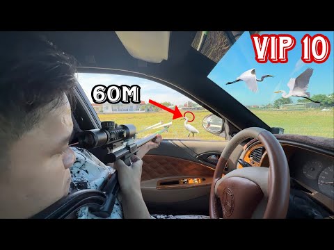 Cầm súng ná vip 10 săn cò tầm xa và cái kết