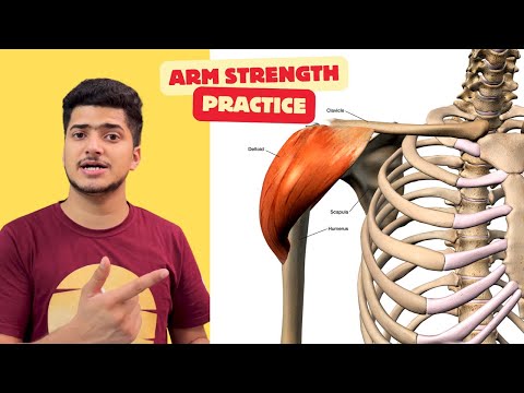 100 % best exercise for arm strength , exercises for arm strength