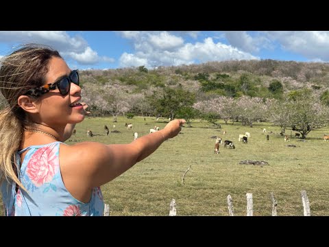 Mi madre hizo un robo en Nicaragua 🇳🇮