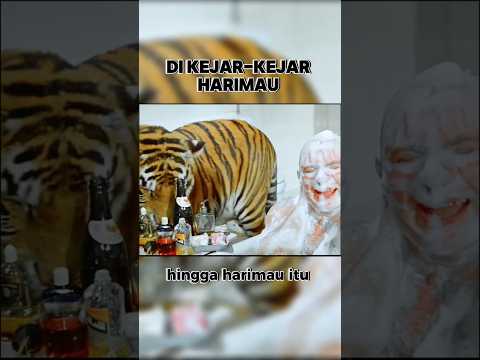 Di kejar-kejar harimau 🐯#alurfilm
