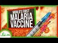 Malaria Vaccine and Prevention Methods