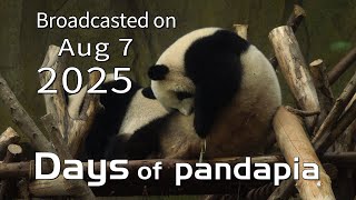 20250807 Broadcast Top Highlights 06