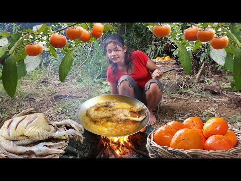Duck curry spicy and Pick wild persimmon fruit - Survival solo in jungle