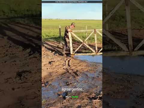 The Soldier Who Closed the Gate