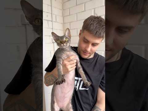 23 июня 2025 г.