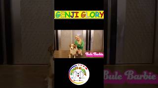 Bule Barby & Anjing Terpintar Dunia