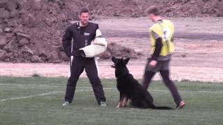 Passat Eqidius & Lukáš Vanta - Protection