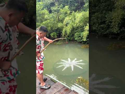 A unique Process for Fishing.. ??(Part-6) #ytshorts #fishing #amazing