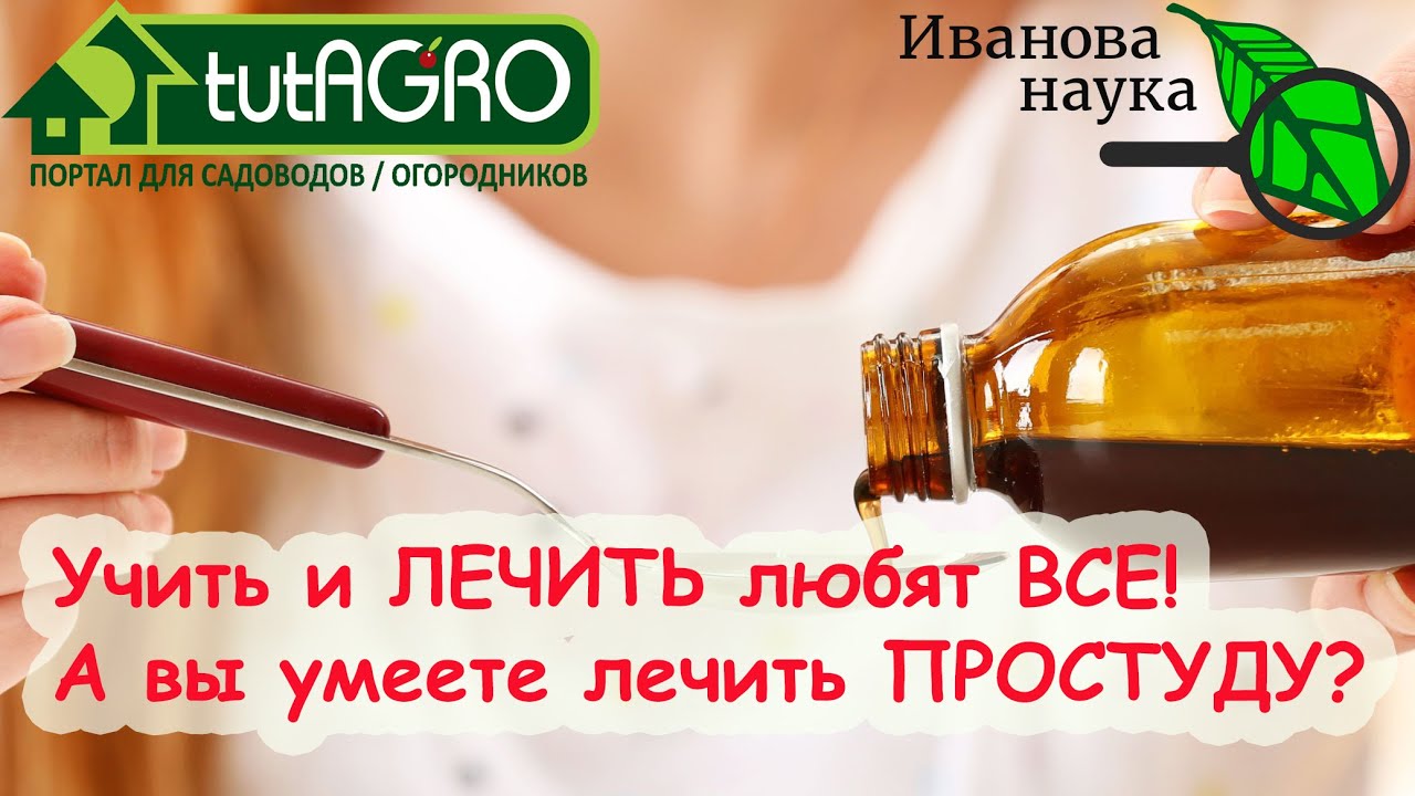 Вот так лечимся! Не спешите на работу и ещё 8 важных правил лечения простудных заболеваний