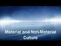 Cultural Understanding and Relativism