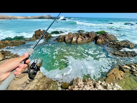 Pesca EXTREMA desde las Rocas! | Captura y Cocina en la Playa