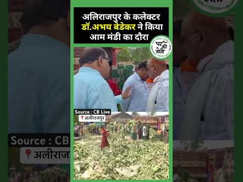 अलीराजपुर आम मंडी में कलेक्टर ने लगायी व्यापारियों की क्लास 😱🥭 #alirajpur #mangocrop #news