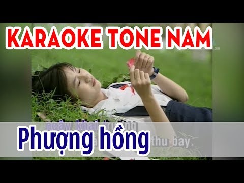 Phượng Hồng Karaoke Tone Nam – Gia Huy | Asia Karaoke Beat Chuẩn