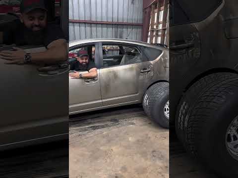 Give Max a Prius…what could go wrong… #cars #nature