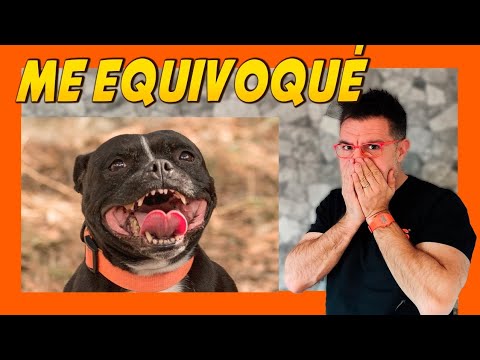 💔 COMETÍ un TERRIBLE ERROR con TOTA 😥 (Confesión) DOS adiestramiento 🐶