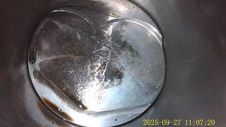 DBG: Using The DXZtoz Borescope,  What 8 YEARS of Sitting Did To The 615hp Stock Head, 351 Cleveland