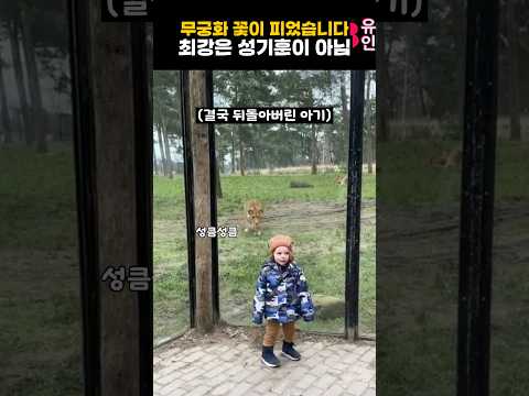 무궁화 꽃이 피었습니다 최강은 성기훈이 아님