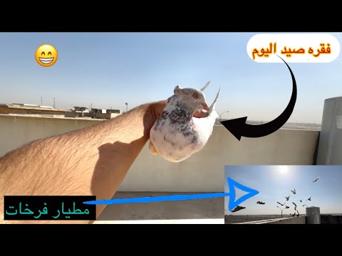 فقره صيد اليوم 😂 طيرنه فرخات شوفو شلون نزل وياهن !!!