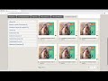Digital Resources for Teachers