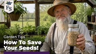 Stop Buying Seeds! The Amish Method for Saving Seeds