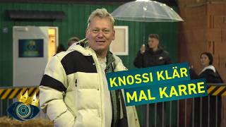 Leyla gibt Vollgas, Rumbombe gibt auf | Ford Wendehammer-Challenge | Big Brother Knossi Edition 2025