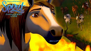 Lucky e a emocionante chegada | SPIRIT CAVALGANDO LIVRE